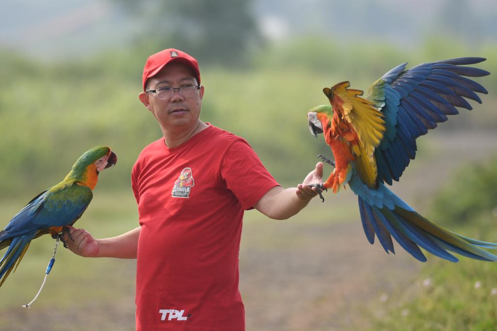 Tangerang Parrot Lover