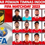 Tiket Timnas Indonesia