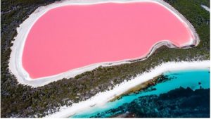 tempat wisata berwarna pink Danau Hiller