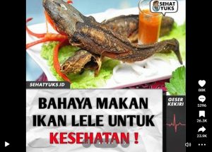 Viral Video Tiktok Ikan lele berbahaya untuk kesehatan