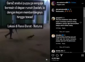 Video Anak Anjing Dibanting Viral