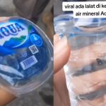 lalat hijau di air minum kemasan