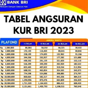Tabel Cicilan KUR BRI 2023 Pinjaman Rp 25 Juta