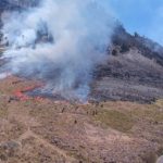 Kebakaran di Gunung Bromo