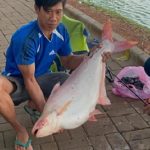 seorang warga yang tengah mancing di Situ Gintung berhasil memperoleh ikan dengan berat yang terbilang besar alias jumbo.