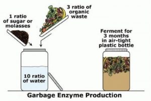 ilustrasi pembuatan eco enzim