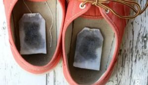 Cara menghilangkan bau sepatu dengan bahan alami
