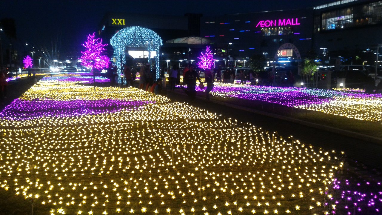 sakura illumination park