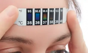 termometer kristal cair