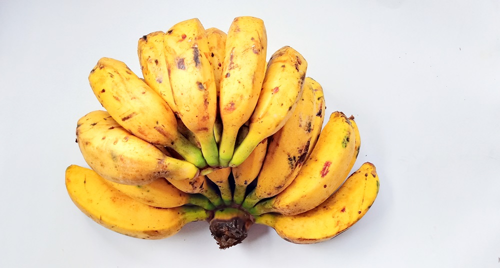 Buah Pisang untuk obat Vertigo alami