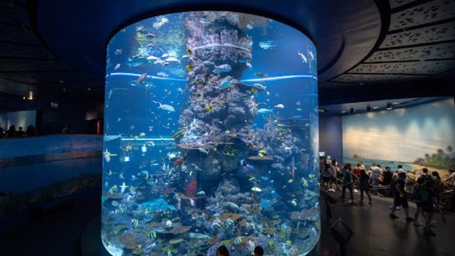 Wisata akuarium terbesar di dunia