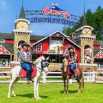 Cimory Dairyland