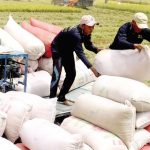 impor beras, Korupsi Bansos Beras Kemensos