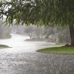 prakiraan cuaca, ilustrasi hujan, BMKG