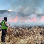 kebakaran Bromo