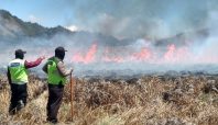 kebakaran Bromo