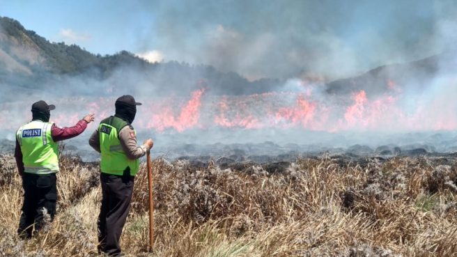 kebakaran Bromo