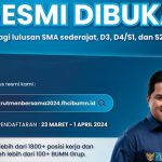 Rekrutmen Bersama BUMN 2024