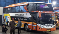 Bus Rosalia Indah