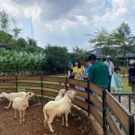 Tempat wisata edukasi di Tangerang yakni Aviary Park Bintaro