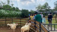 Tempat wisata edukasi di Tangerang yakni Aviary Park Bintaro