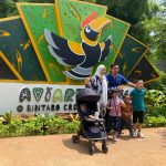 Aviary Park Bintaro