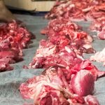 Cara pembagian daging kurban