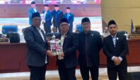 APBD Perubahan Tangsel 2024