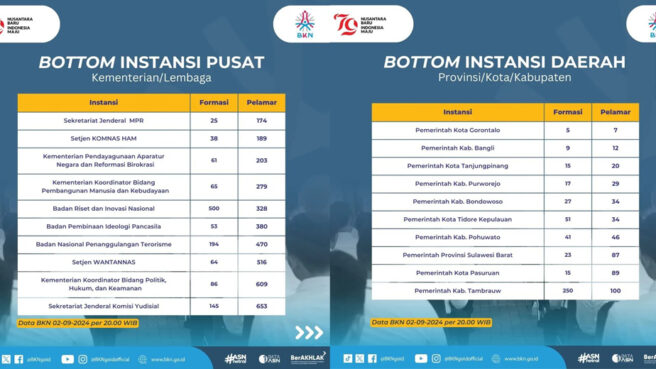 INSTANSI CPNS 2024 SEPI PEMINAT