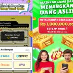 Aplikasi penghasil saldo DANA gratis Desember 2024