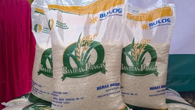 Bansos Beras 10 kg disalurkan awal 2025