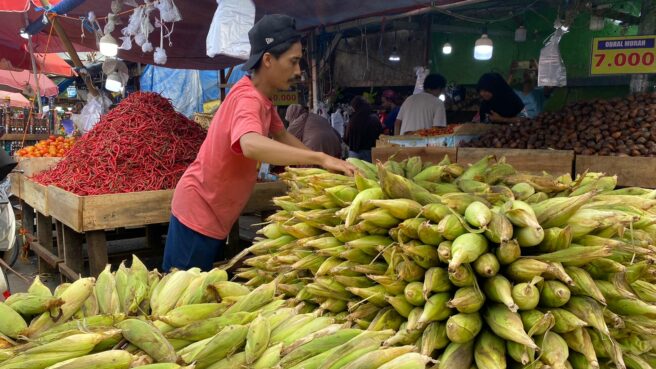 penjualan jagung di pasar ciputat