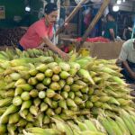 Harga jagung di Pasar Ciputat