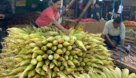 Harga jagung di Pasar Ciputat