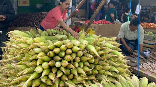 Harga jagung di Pasar Ciputat