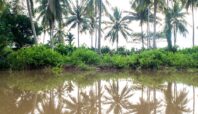 potensi banjir rob saat akhir tahun