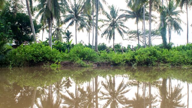 potensi banjir rob saat akhir tahun