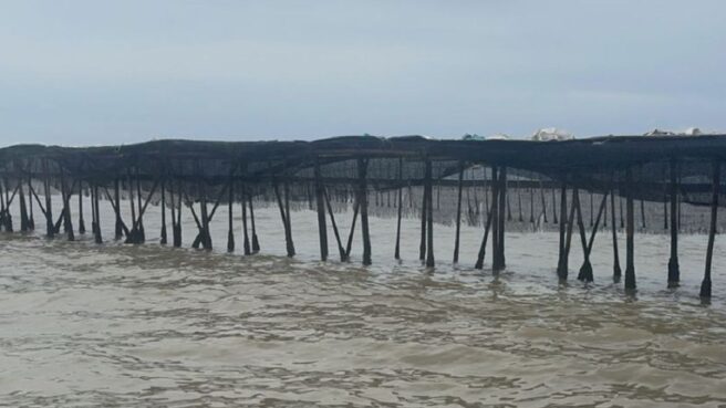 pagar laut di Tangerang dibongkar