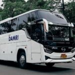 Lowongan kerja BUMN DAMRI