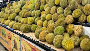 Tempat makan durian di Tangsel