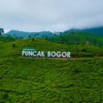 bus ke puncak bogor