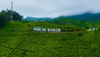 bus ke puncak bogor