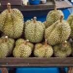 kasus penipuan durian