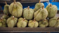 kasus penipuan durian