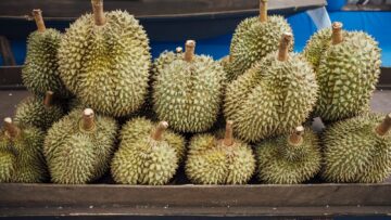 kasus penipuan durian