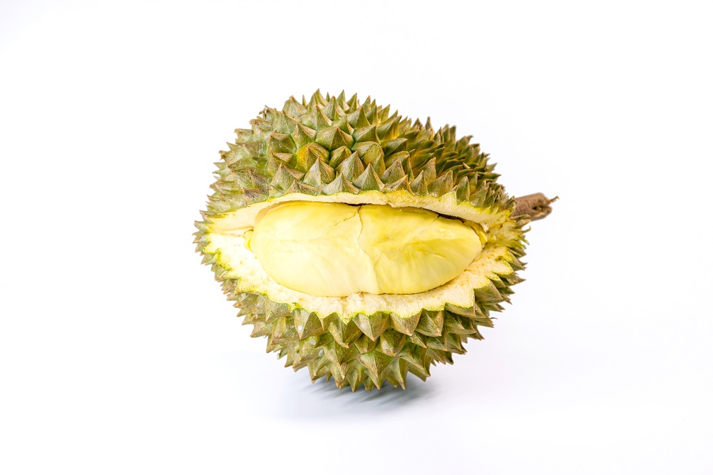 cara pilih durian