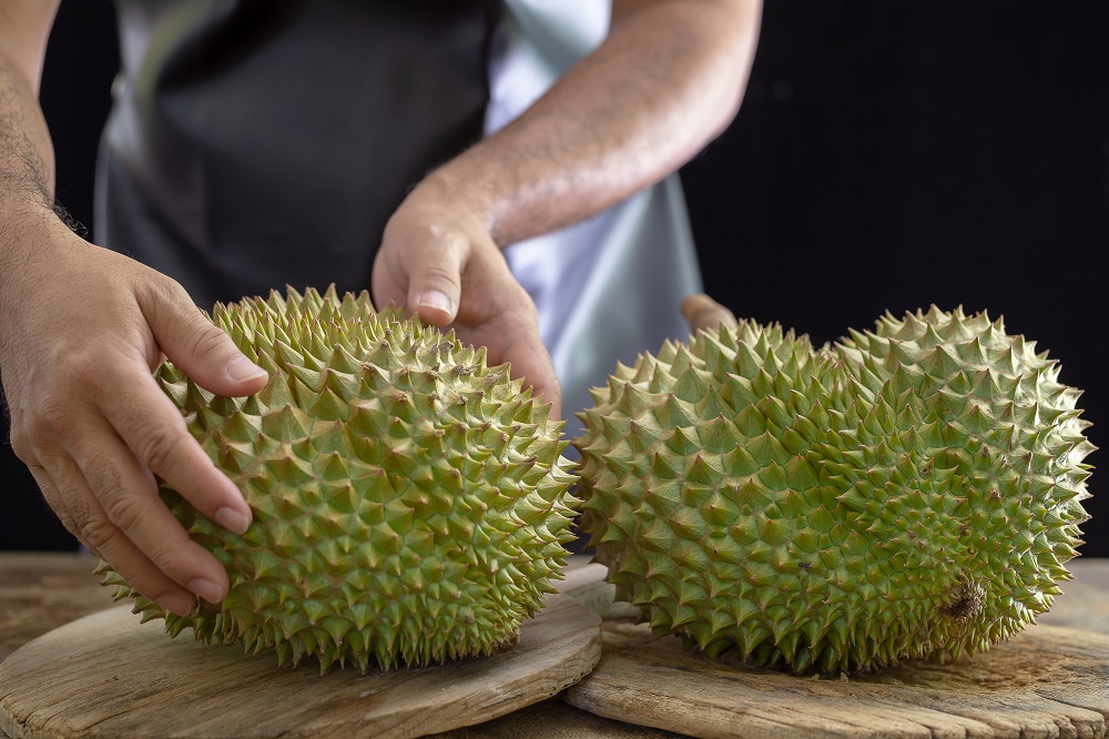 cara pilih durian