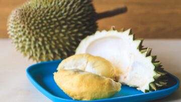 cara pilih durian