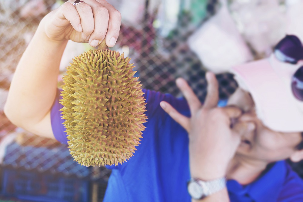 cara pilih durian