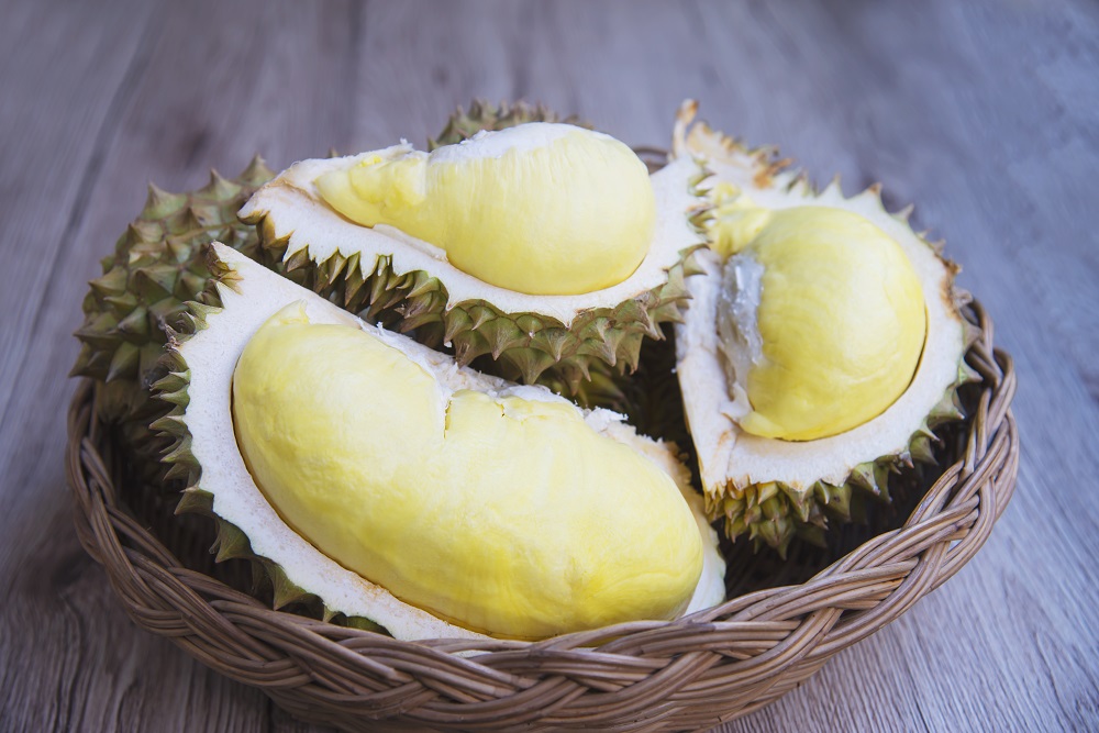 cara pilih durian